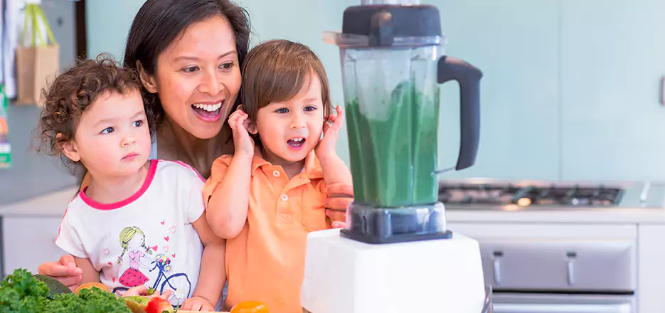 Juicer and Mixer Blender Repair in Grafton 