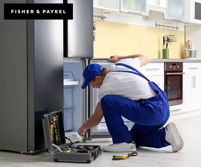 Top-Rated Fisher & Paykel Appliance Experts: Your Brand Specialist in Grafton, MA